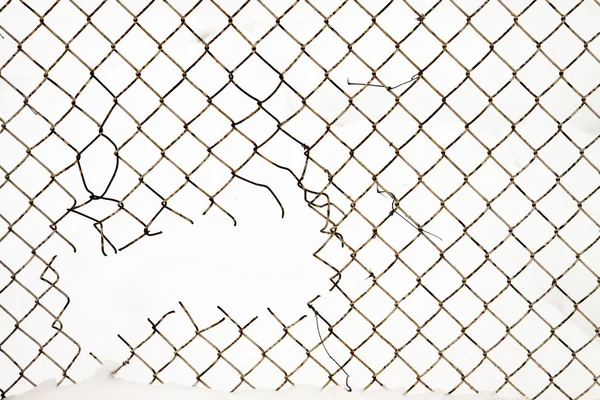 A close up of a metal net fence. — Stock Photo, Image