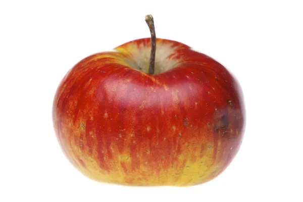 Czerwone jabłko mokre — Zdjęcie stockowe