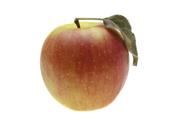 Красное мокрое яблоко с листом — стоковое фото