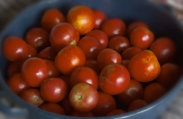 Много красных помидоров — стоковое фото