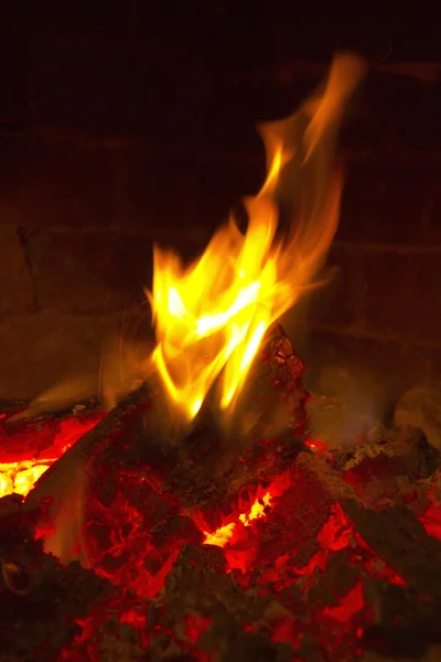 Огонь и дерево — стоковое фото