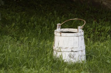 Milk bucket in thegrass clipart