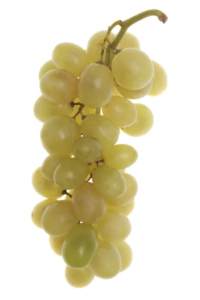 Bulgarian white grape cluster — Stock Photo, Image
