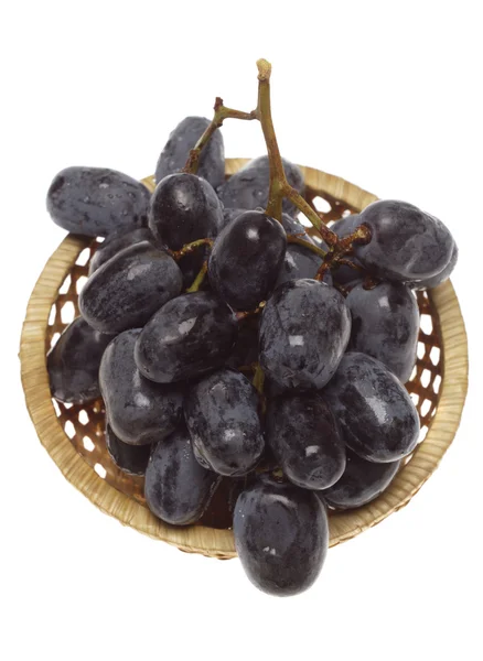 Blue grape cluster — Stock Photo, Image