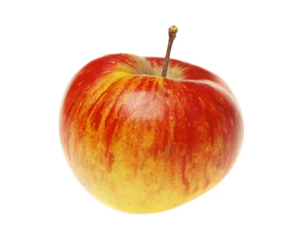 红湿的苹果与叶 — 图库照片