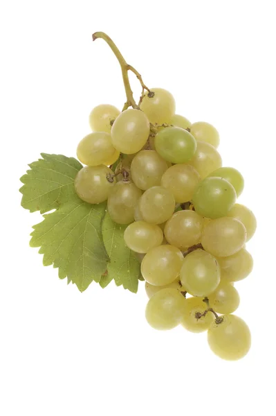 Grappolo d'uva bianco bulgaro — Foto Stock