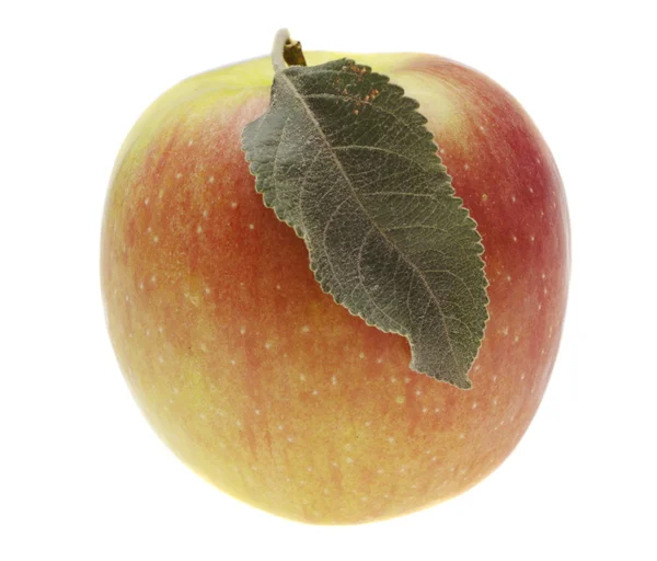 Красное мокрое яблоко с листом — стоковое фото