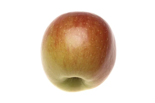 Manzana roja húmeda — Foto de Stock