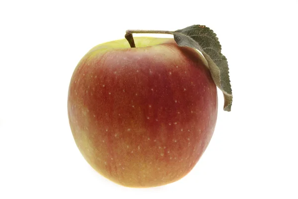 Czerwone jabłko mokre z liści — Zdjęcie stockowe