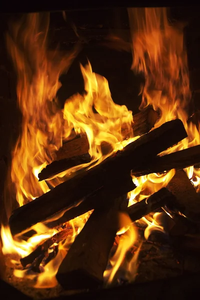 Yangın ve ağaç — Stok fotoğraf