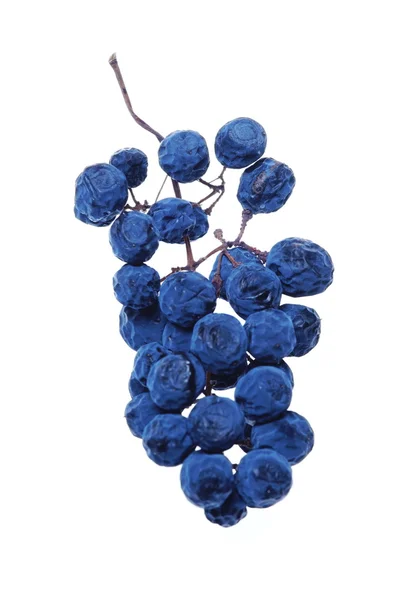 Niebieski klastra winogron — Zdjęcie stockowe