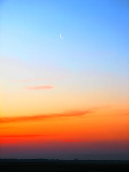 新月 — ストック写真