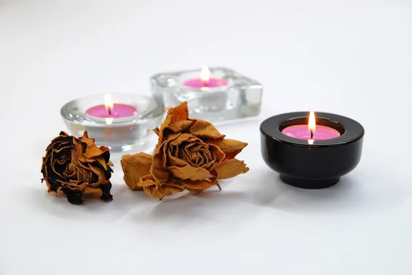 Suchý růže a skleněné svícny — Stock fotografie