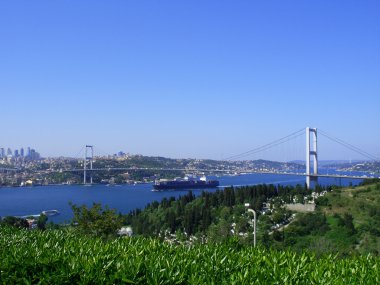 Bosphorus bridge clipart