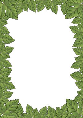 Leaf frame clipart