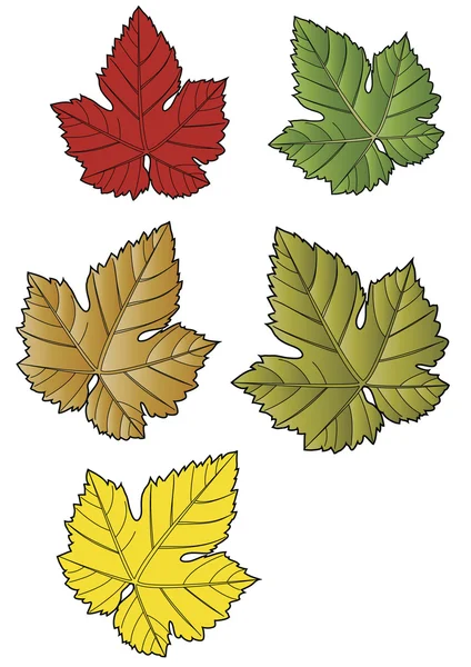 Stock vector Leafs vector