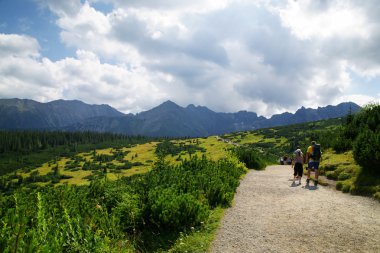 dağ hiking trail