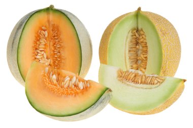 Melon clipart