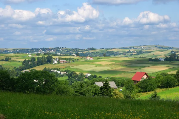 Landelijk landschap — Stockfoto