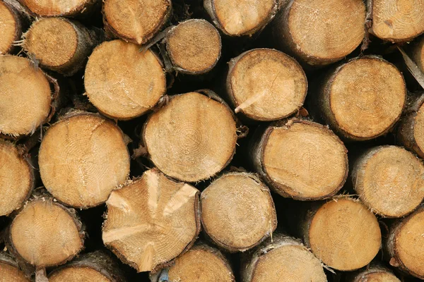 stock image Pile of wood logs