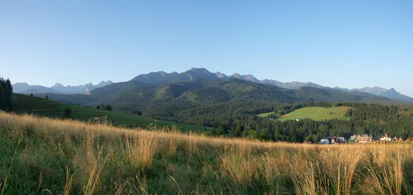 Widok panoramiczny z zgorzelisko. — Zdjęcie stockowe