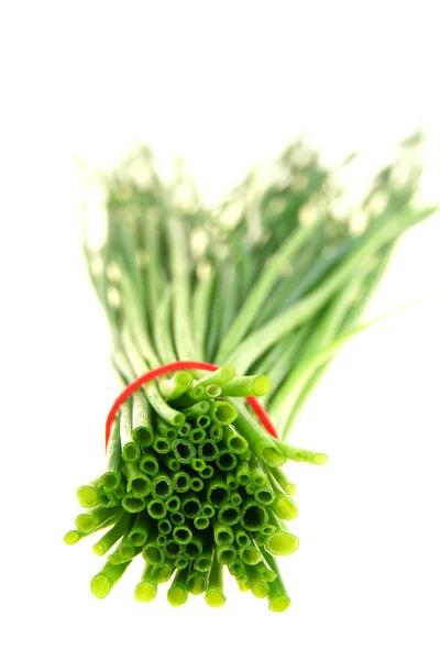 Färska gröna gräslök — Stockfoto