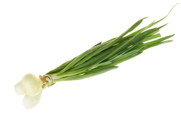 Onion with szczypi — Stock Photo, Image