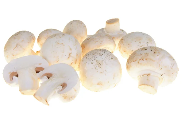Cogumelo com caminho de recorte — Fotografia de Stock
