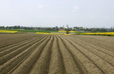 Plowed field clipart