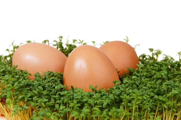 Berro y huevos —  Fotos de Stock