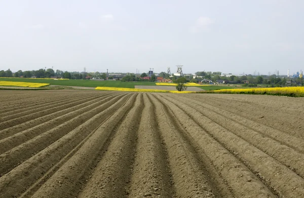 Plowed field — Stock Photo, Image