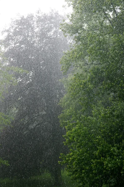 Sintflutartiger Regen — Stockfoto