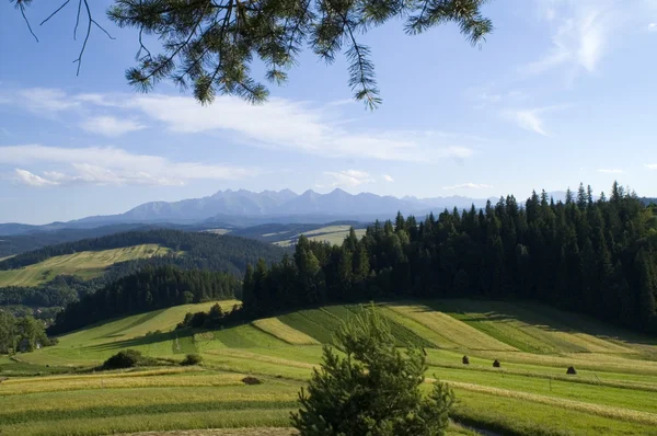 Tatra panoramisch — Stockfoto