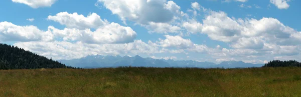 Panoramic meadow — Stock Photo, Image