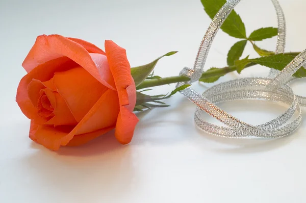 銀のリボンと赤のバラ — ストック写真