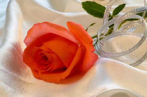Красная роза с серебряной лентой — стоковое фото