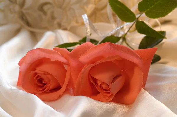Rote Rose mit silberner Schleife — Stockfoto