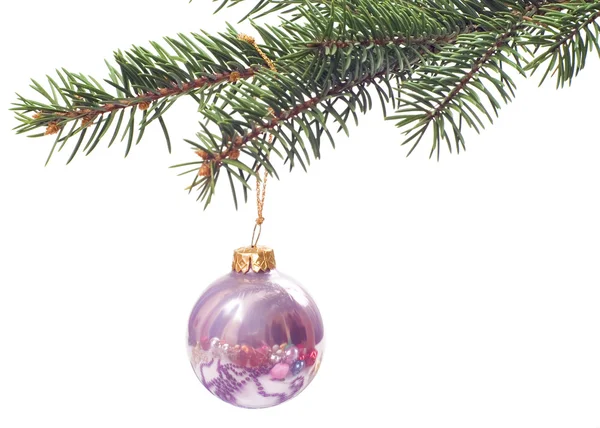 Christmas glass ball Stock Image