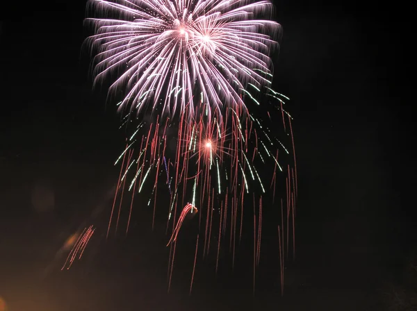 stock image Fireworks