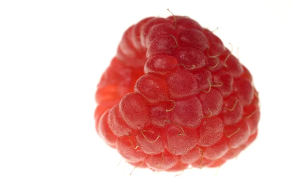 큰 딸기 — 스톡 사진