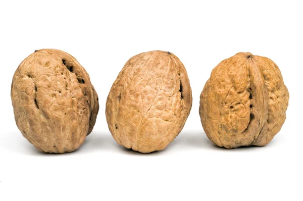 Большие орехи — стоковое фото