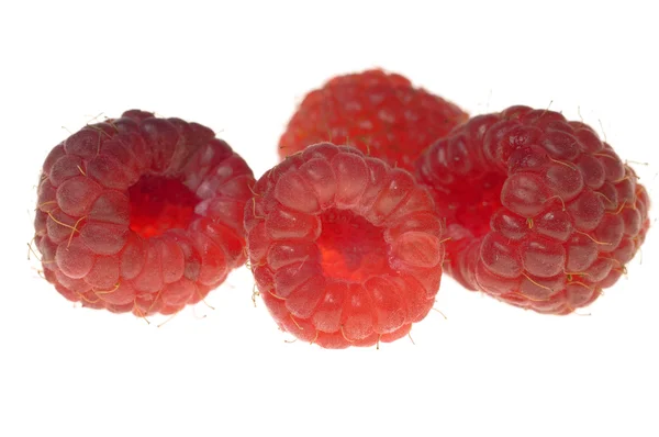 Four raspberry — Stock Photo, Image