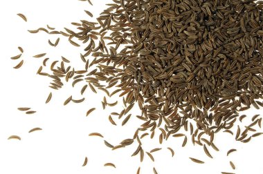 Caraway seed clipart