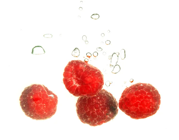 Rspberry stropire — Fotografie, imagine de stoc