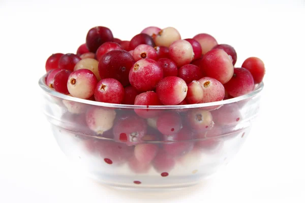 Cranberry em prato — Fotografia de Stock
