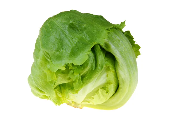 Iceberg lettuce — Stock Photo, Image
