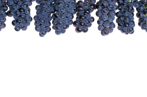 Frame grape — Stock Photo, Image