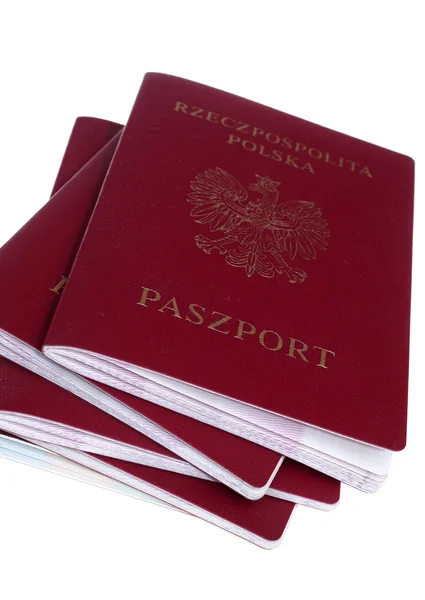 Högen av pass堆的护照 — Stockfoto