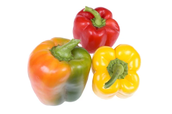 Colorful paprika — Stock Photo, Image