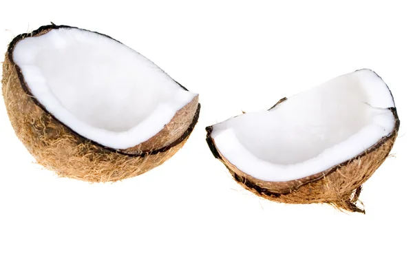 Kokosnuss isoliert — Stockfoto